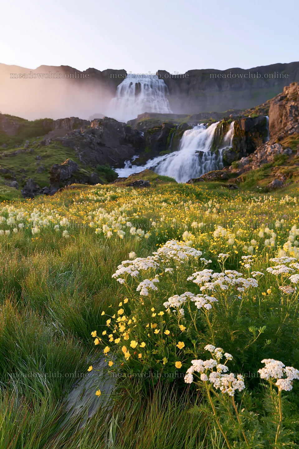 Waterfall in summer meadow with wildflowers – meadow photos 6480x9722