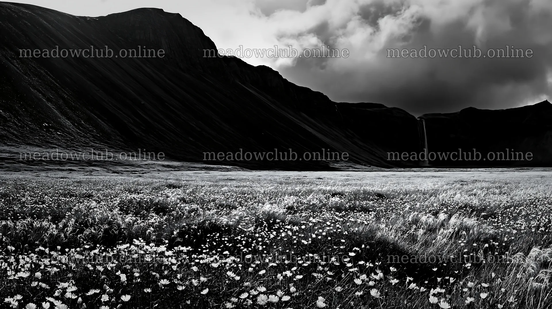 Flowering meadow near mountain falls with dark clouds – meadow photos 10608x5938