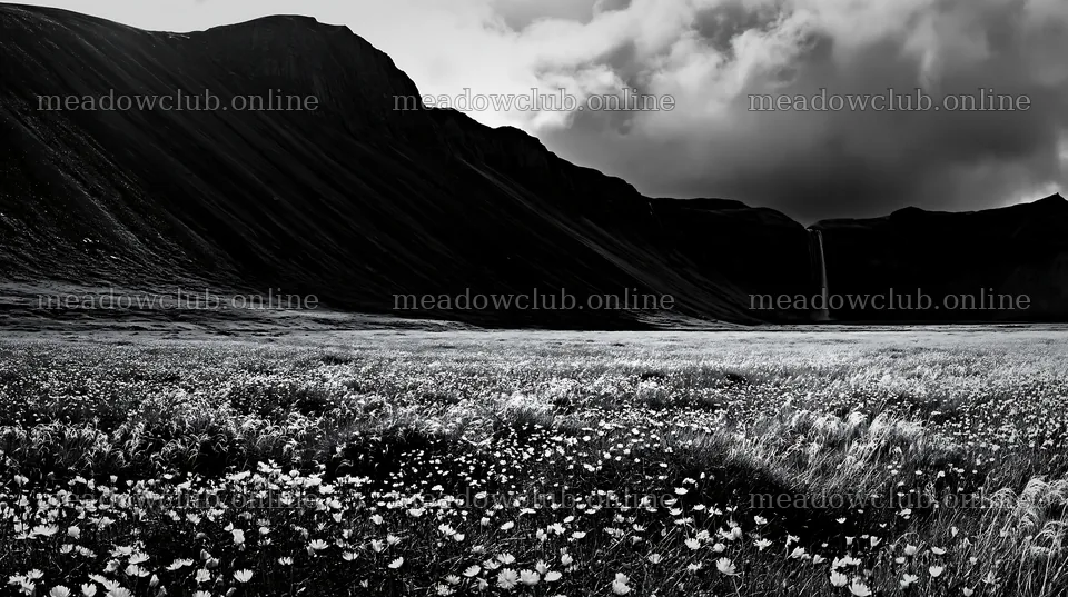 Flowering meadow near mountain falls with dark clouds – meadow photos 10608x5938