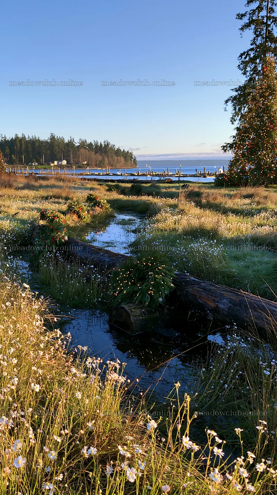Expansive Christmas meadow with rainwater retention and wreaths – meadow photos 5938x10608