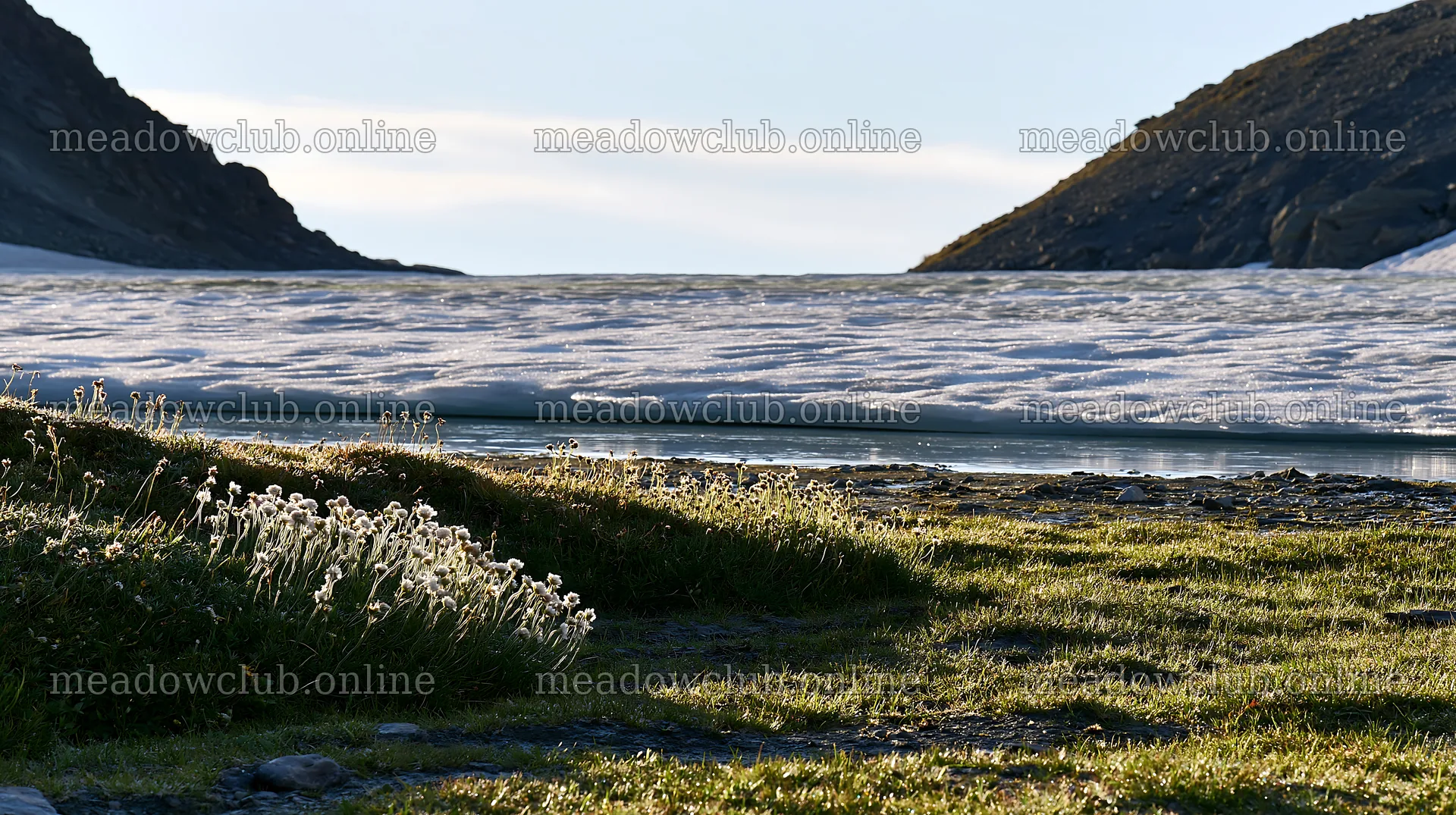 Frozen tarn meadow with snow and grassland landscape – meadow photos 10608x5938