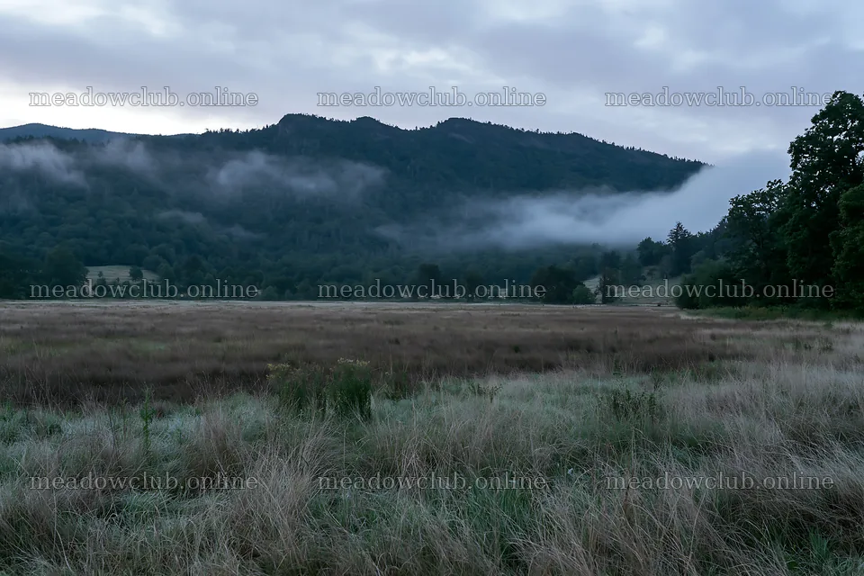 Dewy meadow at dawn with misty mountains in the background – meadow photos 9722x6480