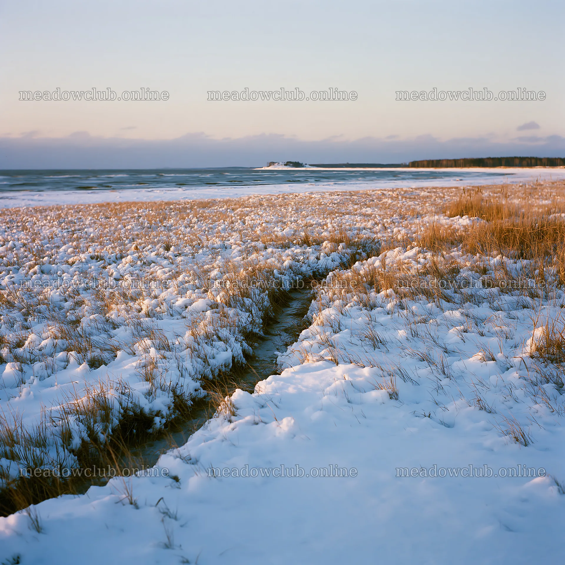 Snowy beach meadow with path leading to the water – meadow photos 7938x7938
