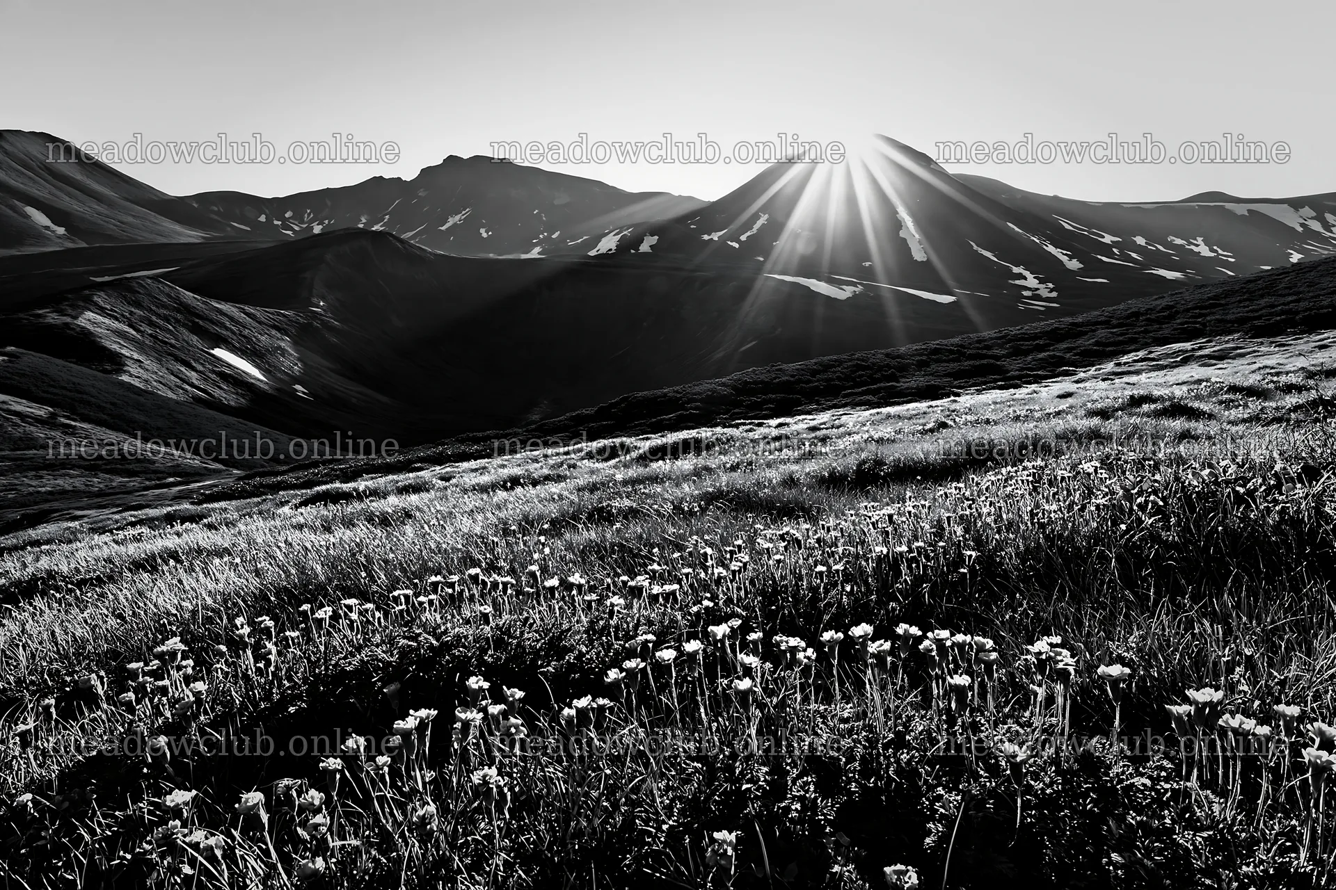 Daisetsuzan alpine meadow with light rays in natural setting – meadow photos 9722x6480