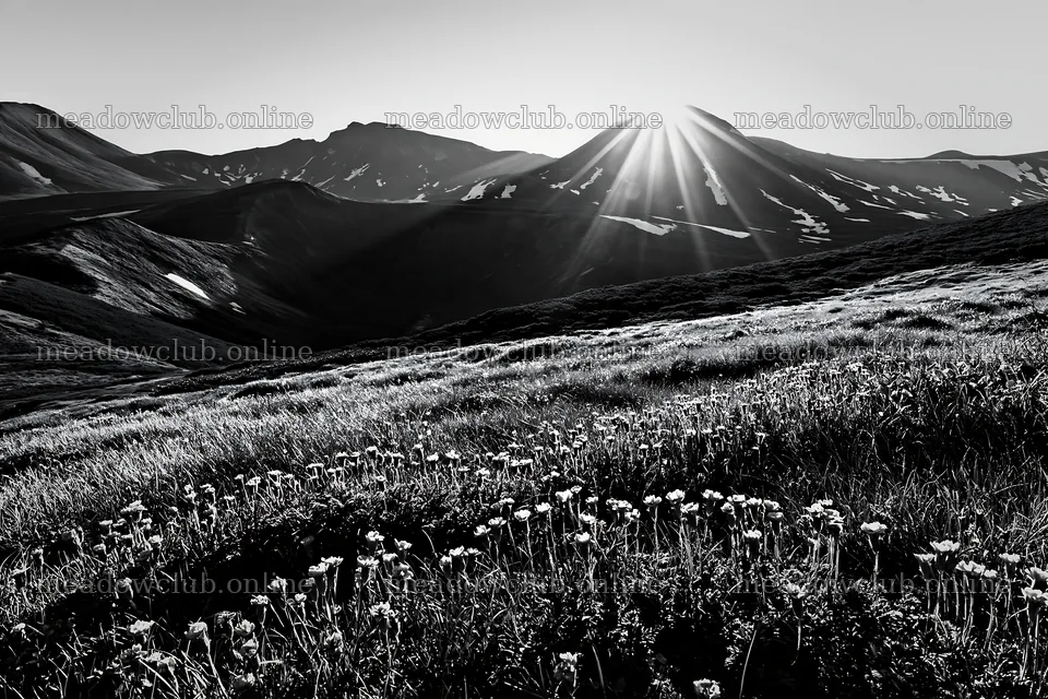 Daisetsuzan alpine meadow with light rays in natural setting – meadow photos 9722x6480