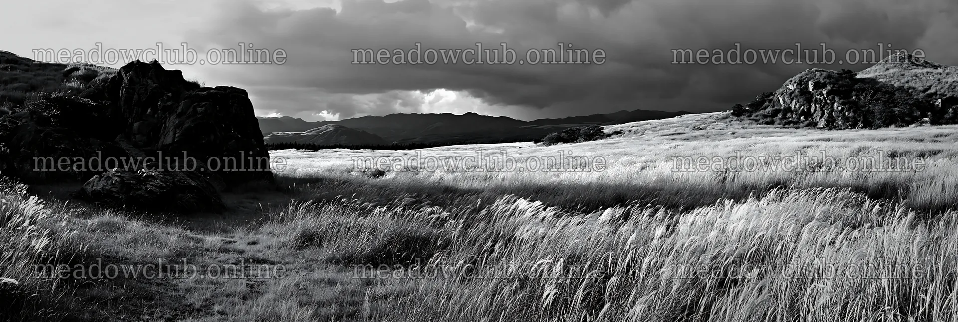 Restored Kumamoto silver grass meadow boulders in a natural setting – meadow photos 13690x4602