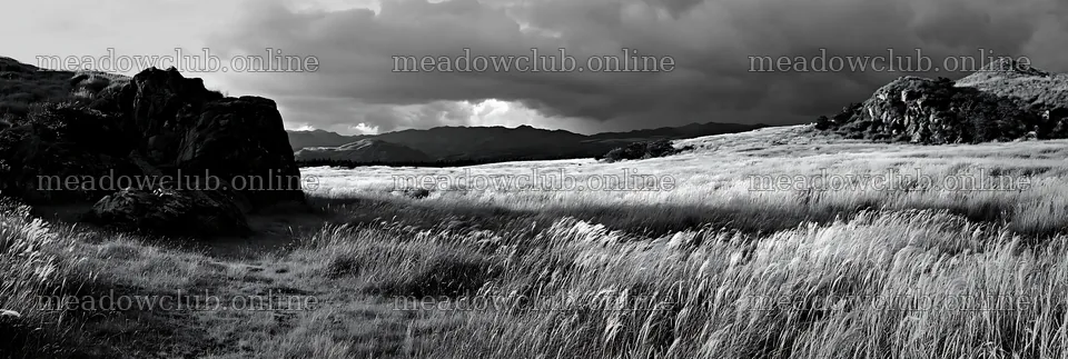 Restored Kumamoto silver grass meadow boulders in a natural setting – meadow photos 13690x4602