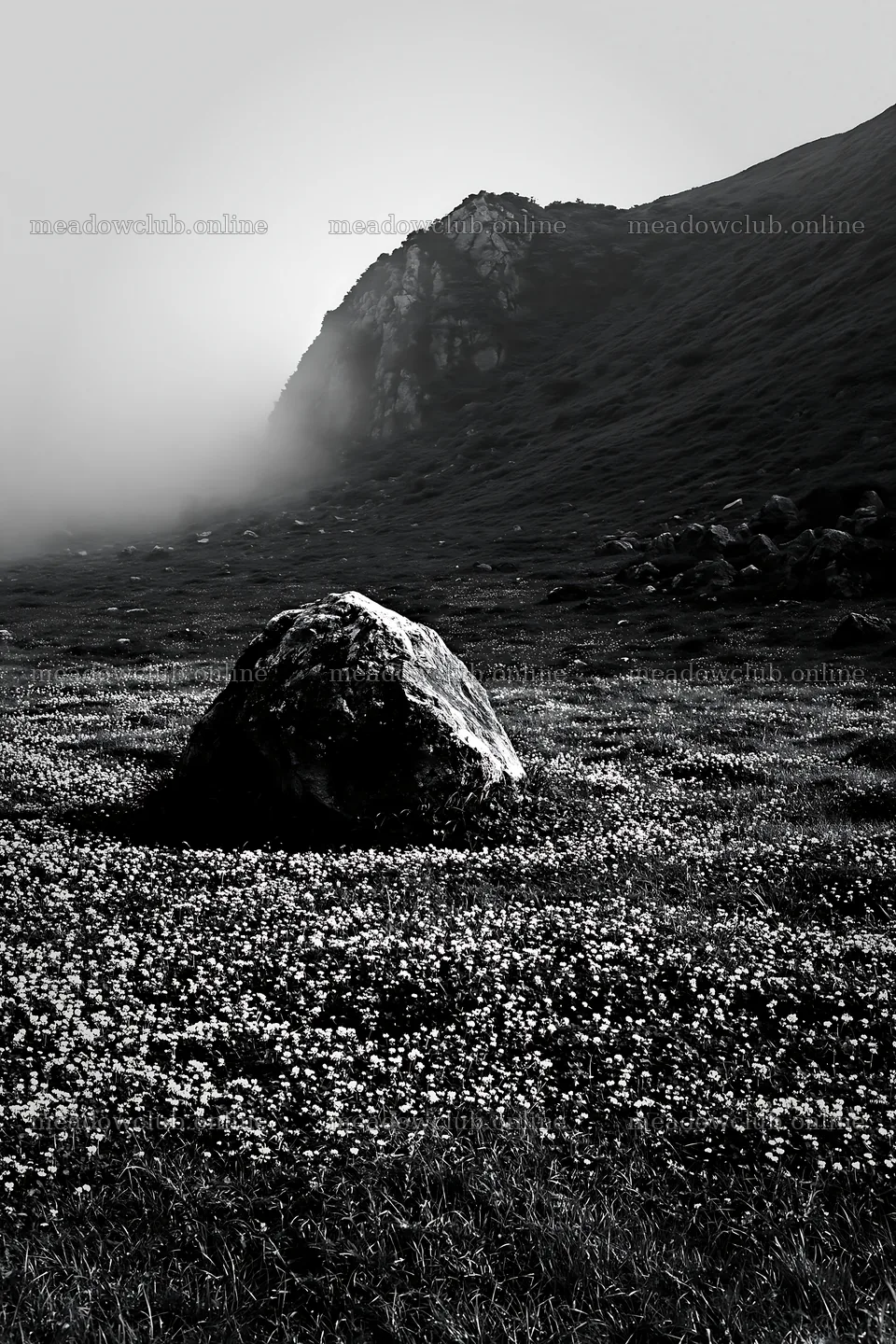 Yamaguchi limestone meadow with pale boulder under misty hills – meadow photos 6480x9722
