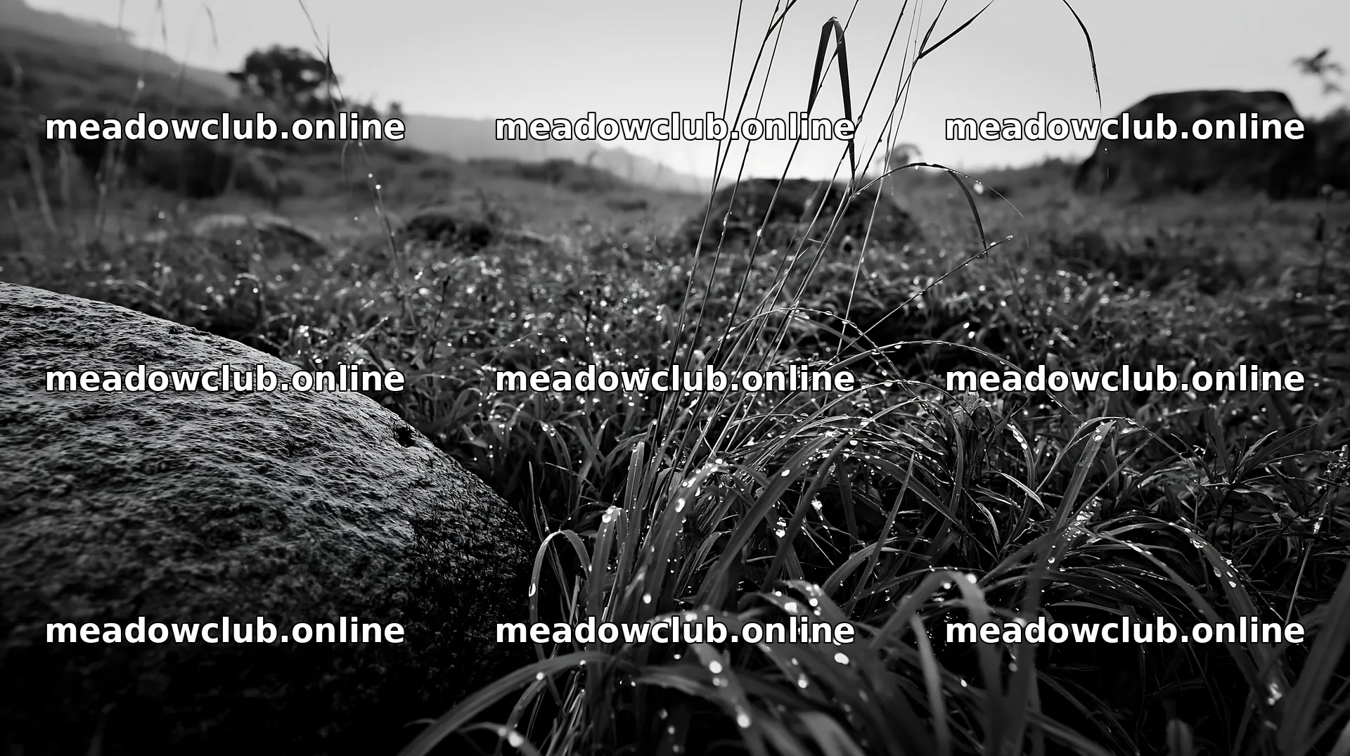 Aomori climate resilient meadow with boulder – meadow photos 10608x5938