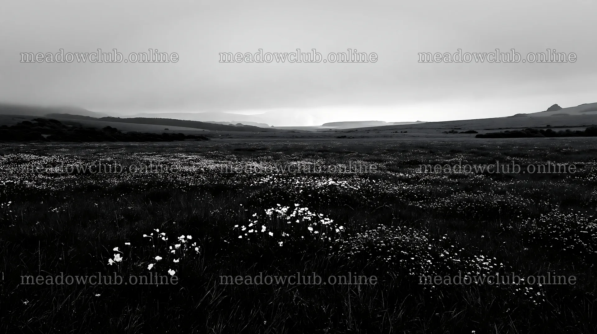 Wildflower meadow under cloudy sky with limestone hills – meadow photos 10608x5938