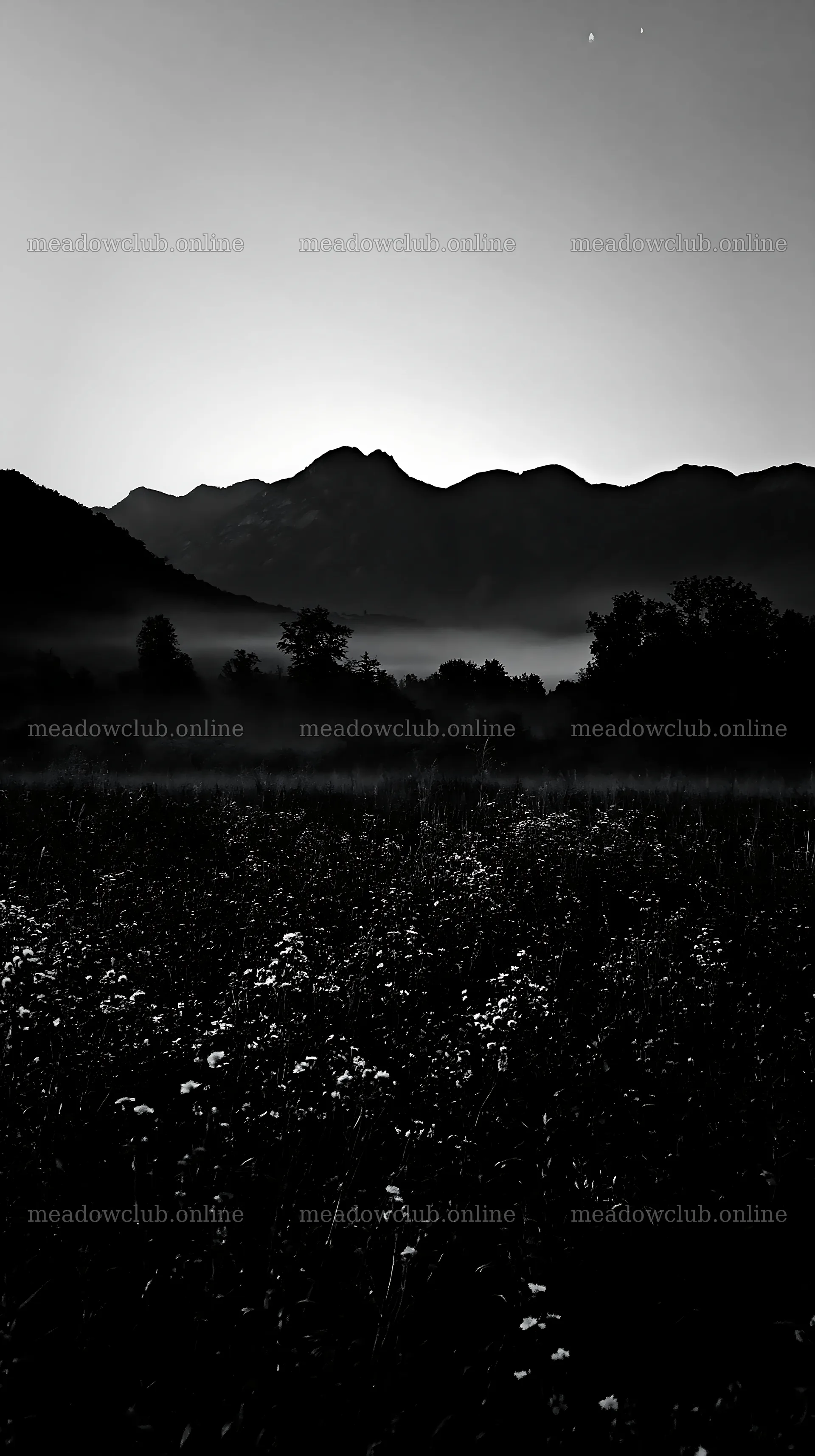 Climate-resilient meadow with distant mountains and morning mist – meadow photos 5938x10608