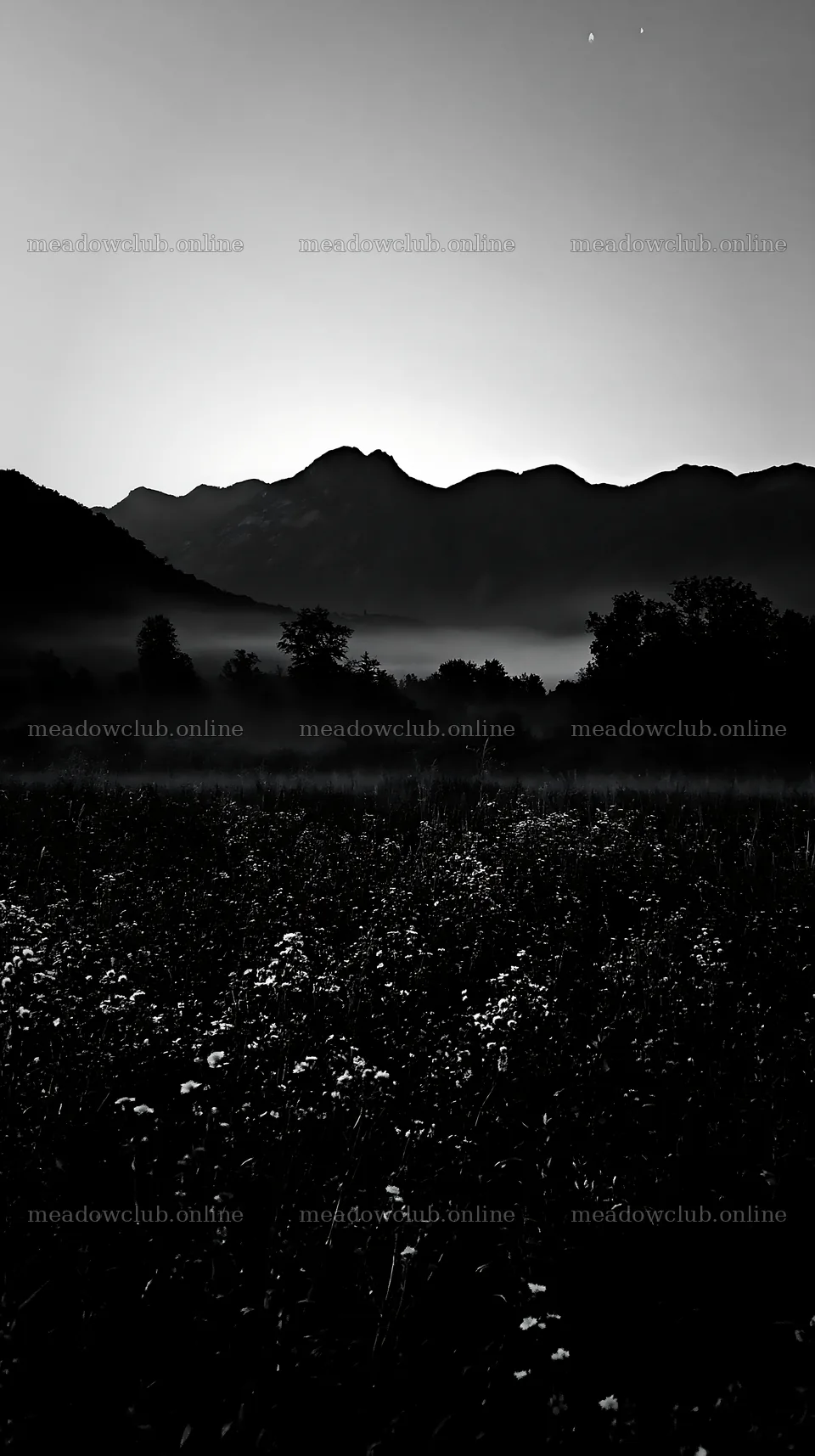 Climate-resilient meadow with distant mountains and morning mist – meadow photos 5938x10608