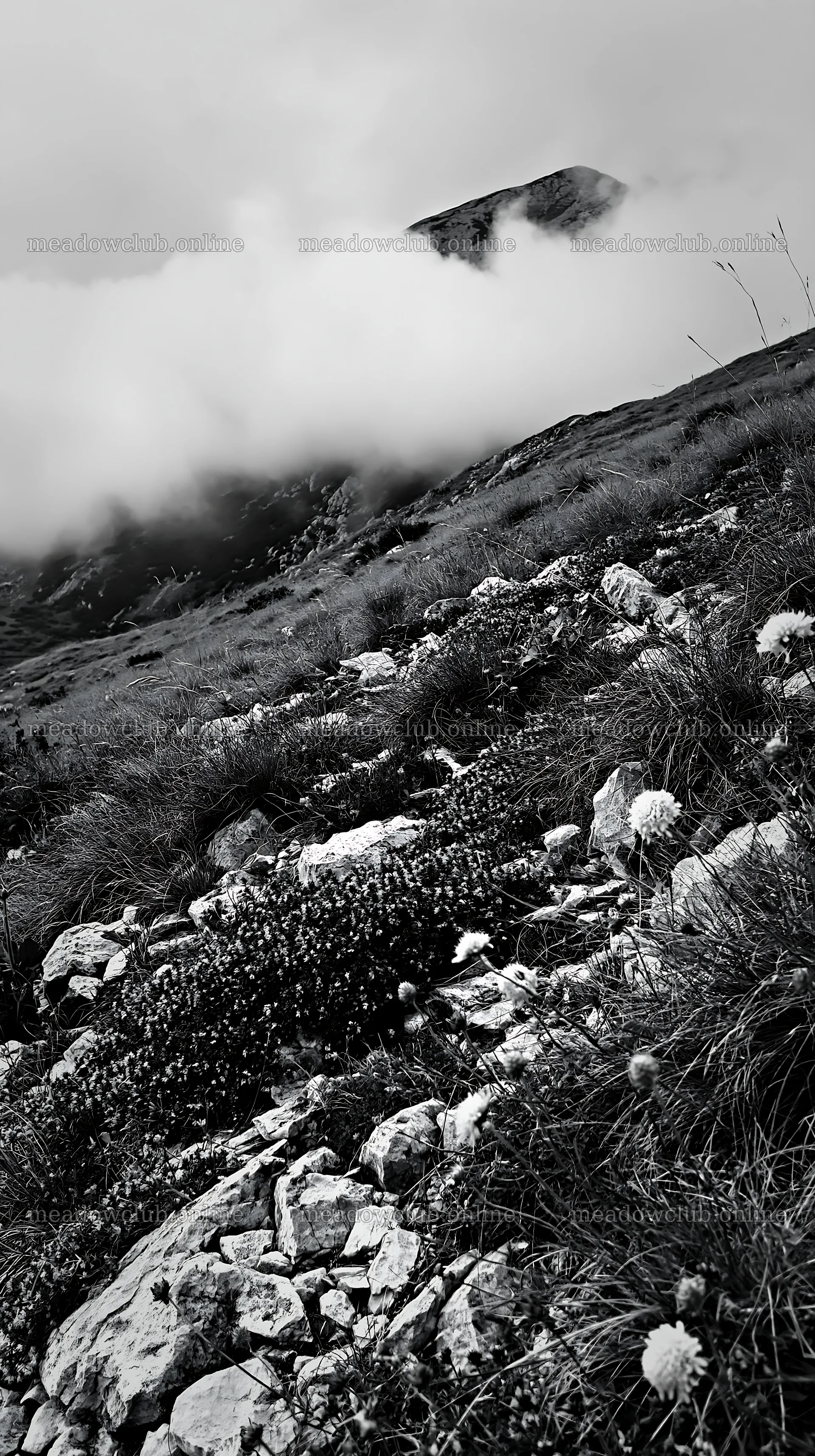 Cloudy limestone meadow with fog and rocky terrain – meadow photos 5938x10608