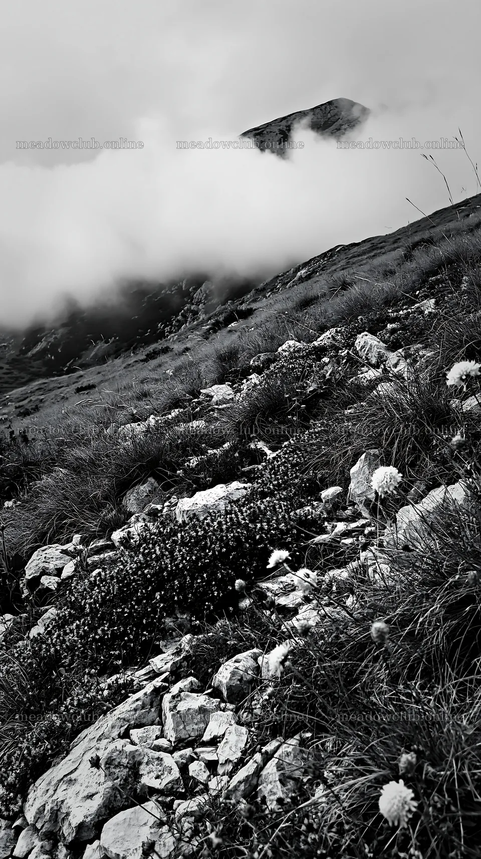 Cloudy limestone meadow with fog and rocky terrain – meadow photos 5938x10608