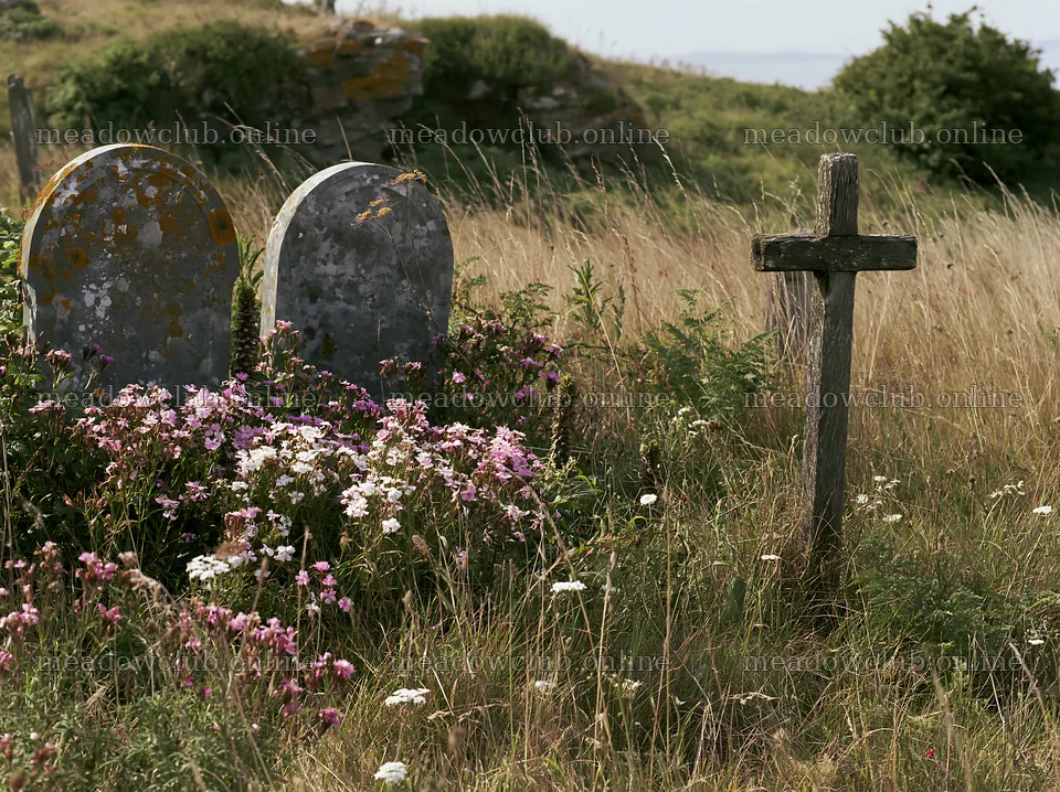 Christian cross and gravestones in a Christmas meadow – meadow photos 9174x6866