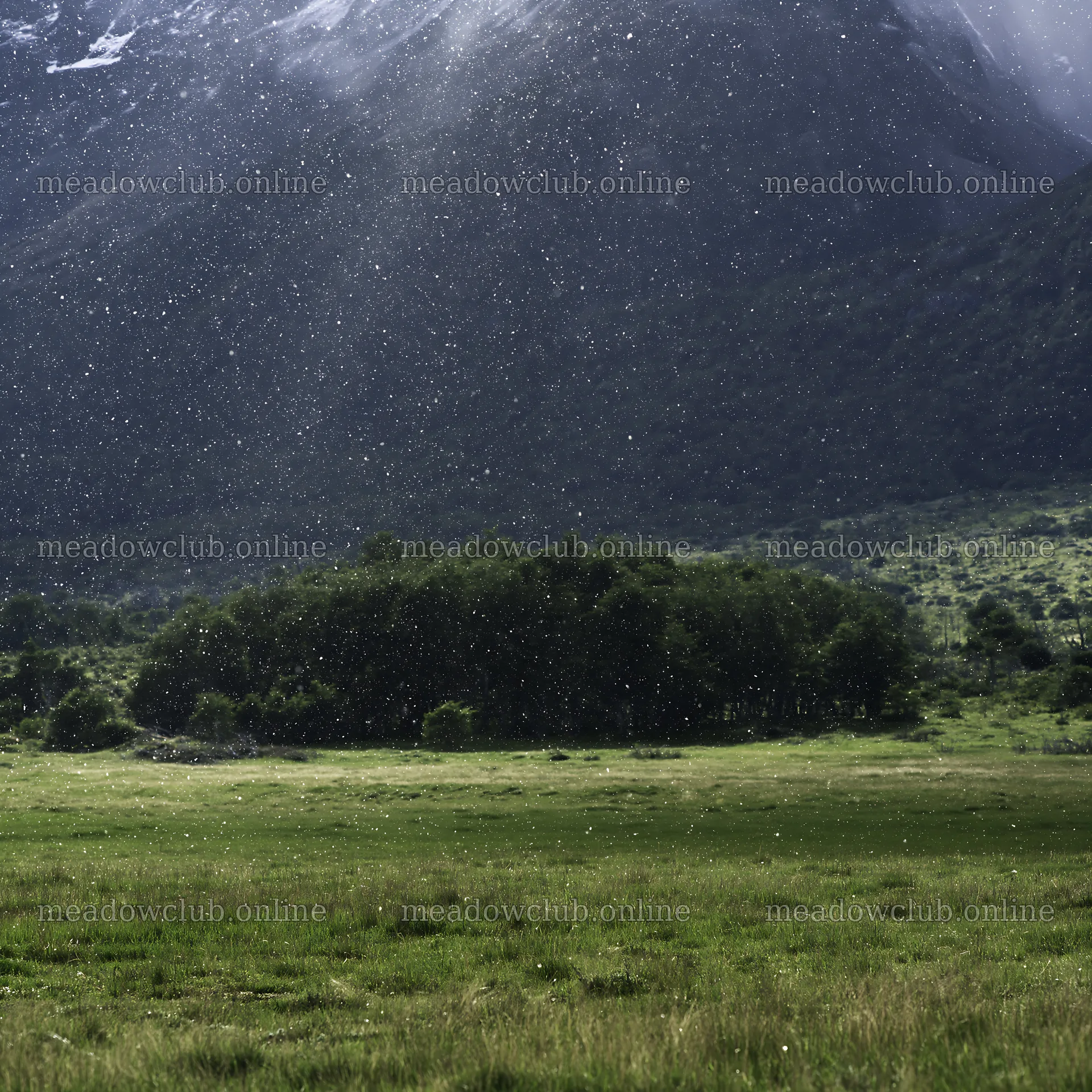 Snowfall in Torres del Paine meadow during winter – meadow photos 7938x7938
