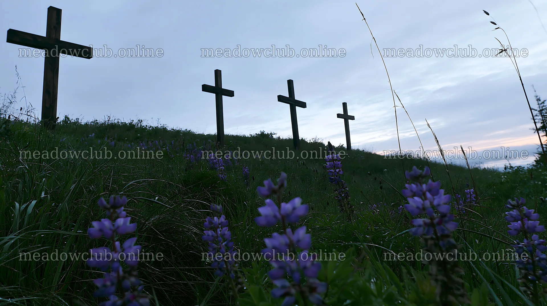 Christian crosses in rain soaked meadow with flowers – meadow photos 10608x5938