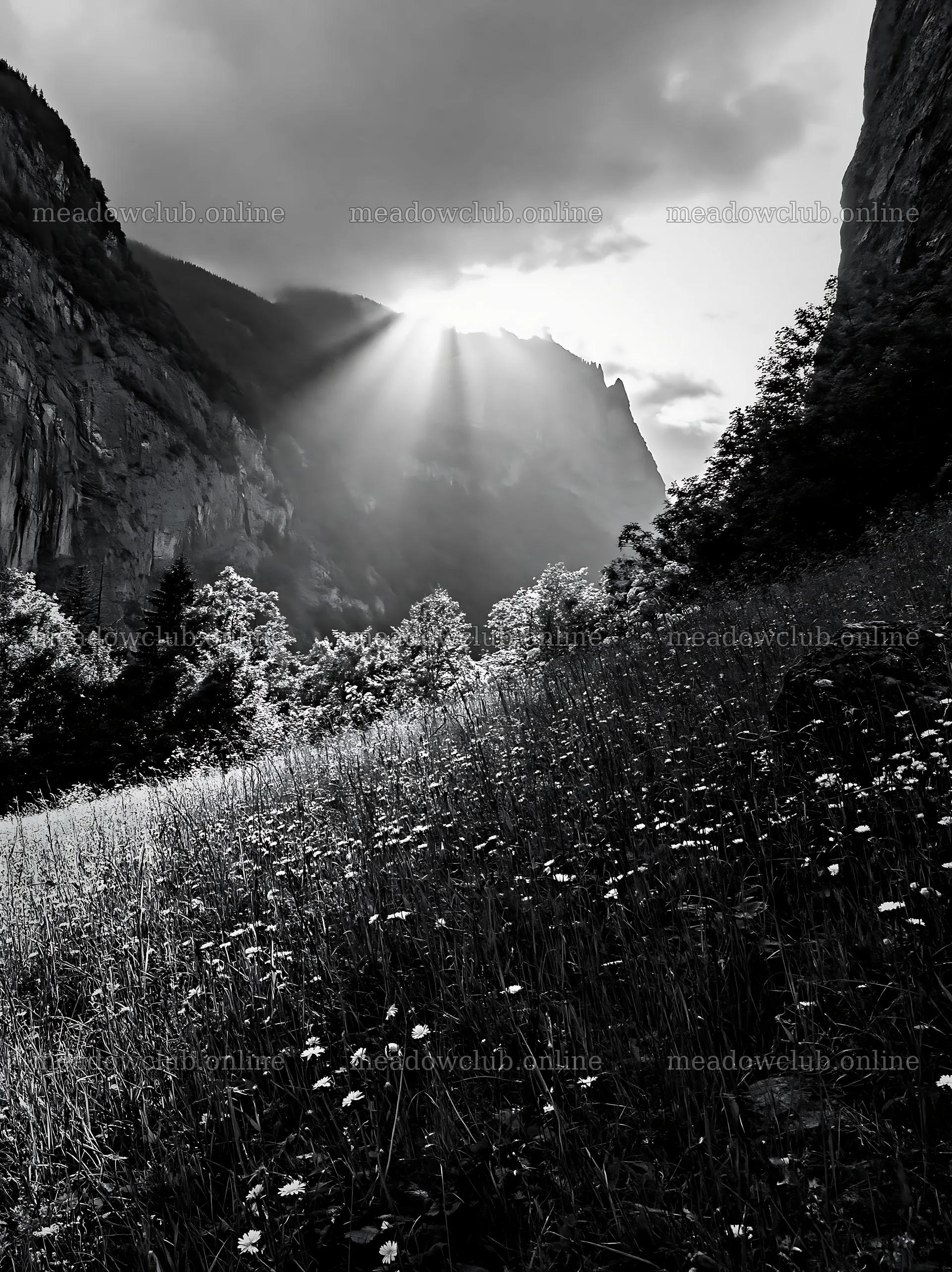 Lauterbrunnen Valley meadow light rays create a stunning view – meadow photos 6866x9174