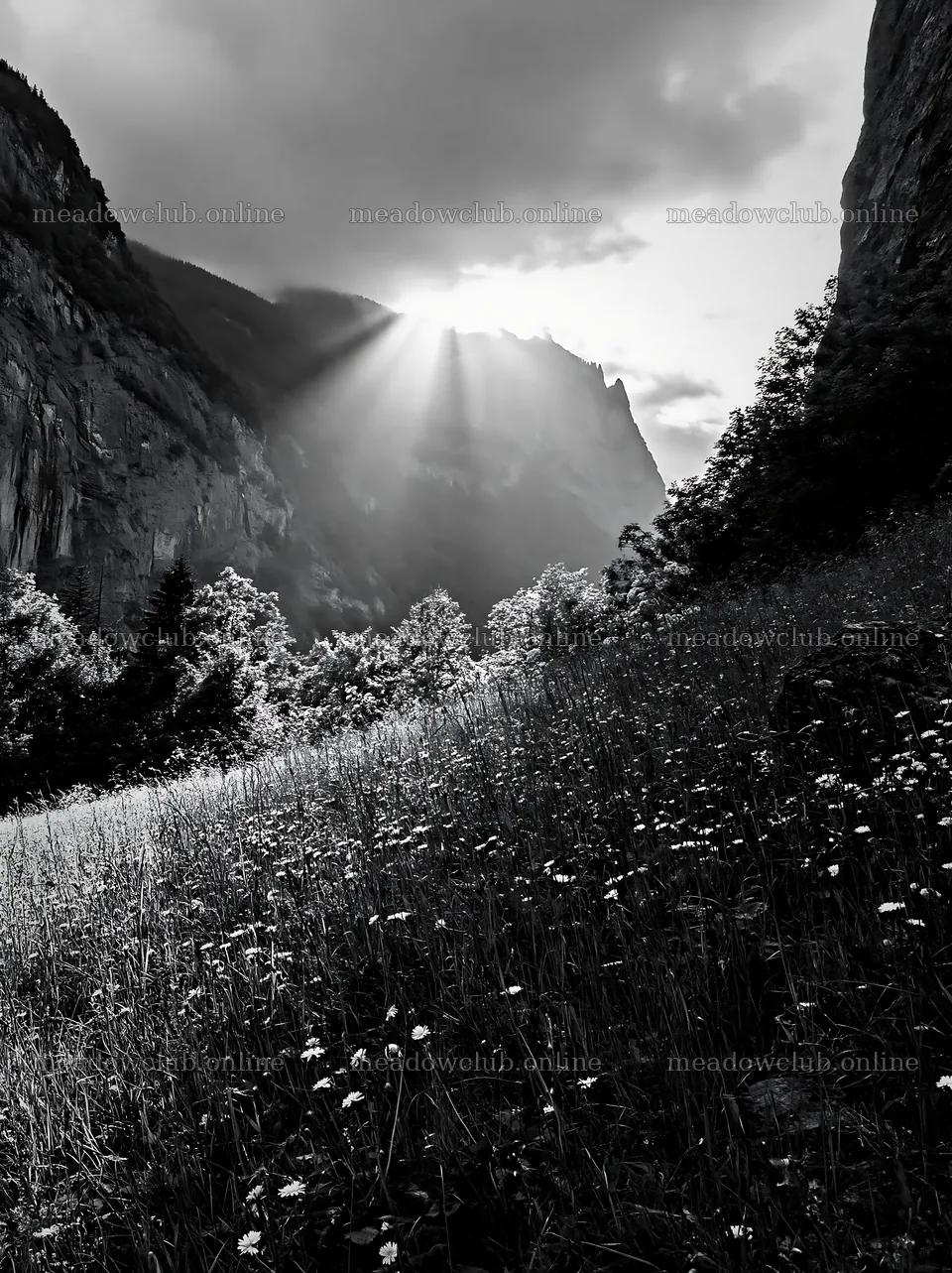 Lauterbrunnen Valley meadow light rays create a stunning view – meadow photos 6866x9174