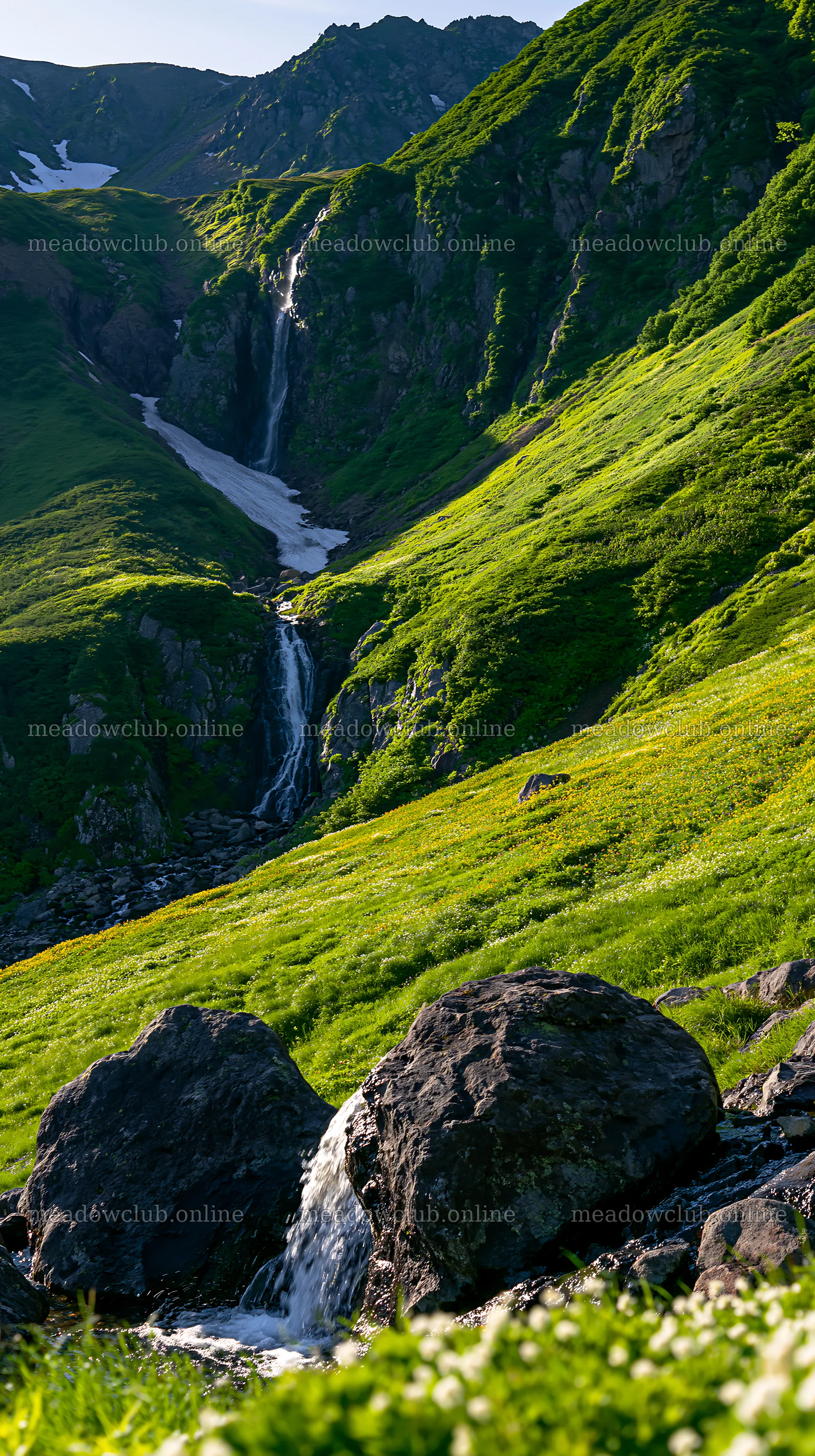 Toyama alpine meadow snowmelt rock foreground with waterfall – meadow photos 5938x10608