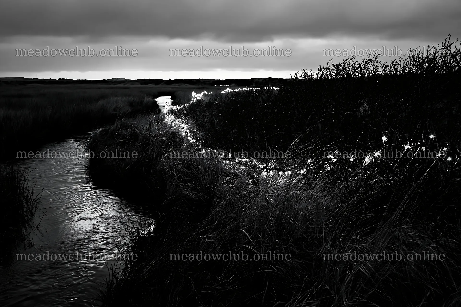 Christmas lights illuminating stream near meadow at dusk – meadow photos 9722x6480