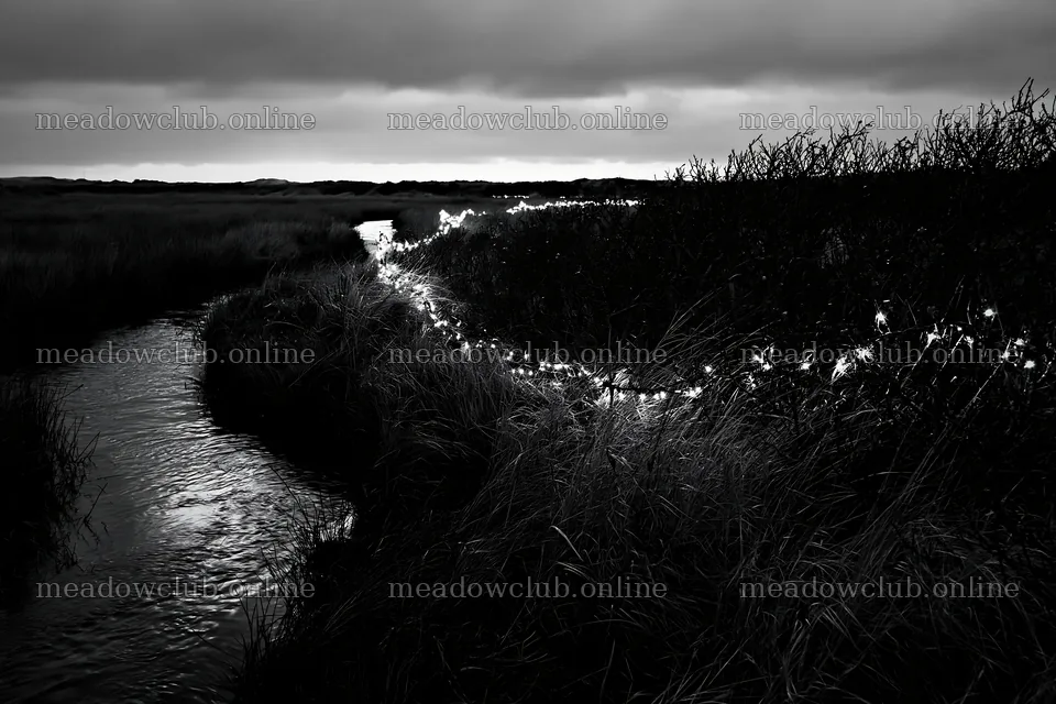 Christmas lights illuminating stream near meadow at dusk – meadow photos 9722x6480