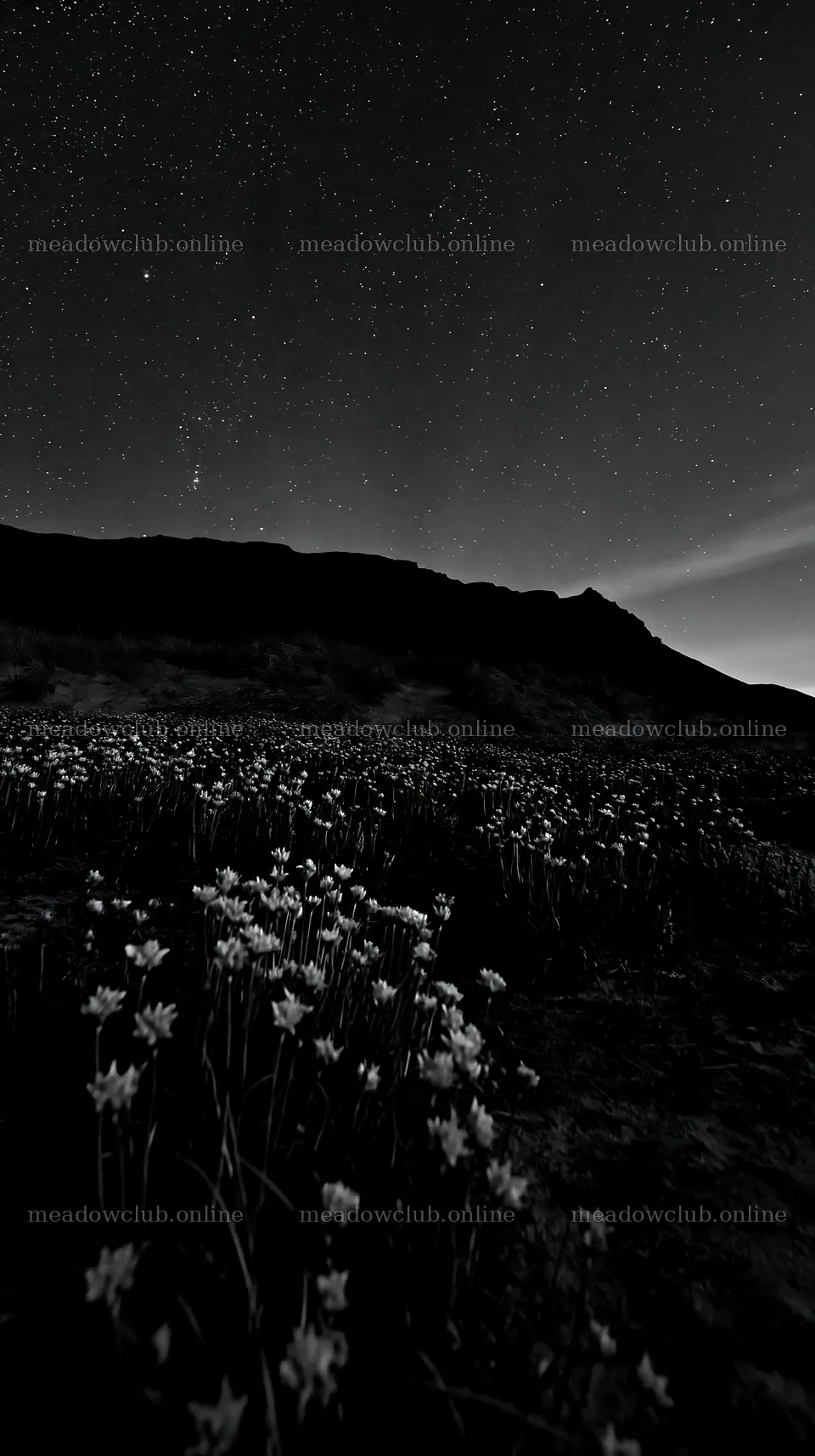 Night scene of flowers under a starry sky near a mountain – meadow photos 5938x10608