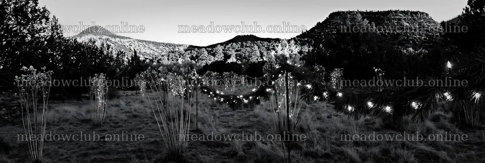 Expansive meadow decorated with lights for Christmas celebration – meadow photos 13690x4602