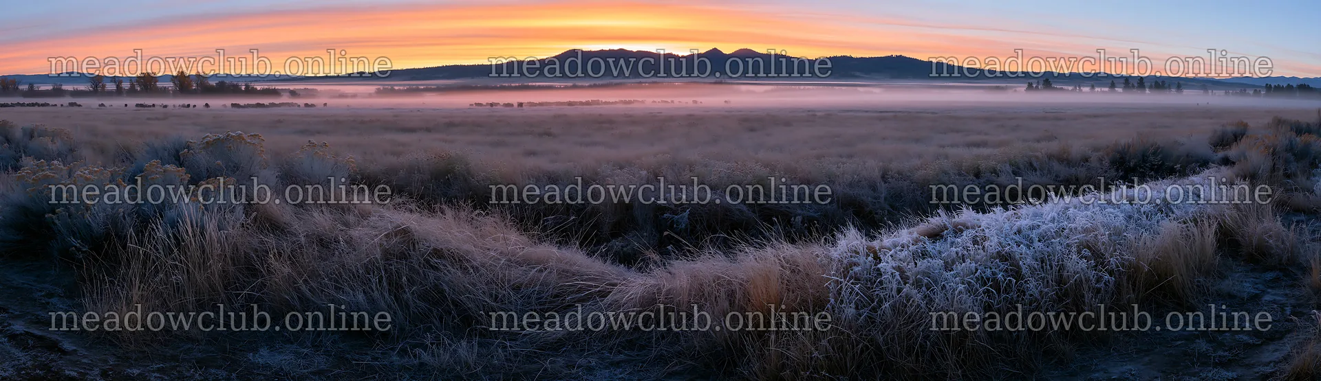 Frosty meadow at sunrise with distant mountains – meadow photos 14762x4268