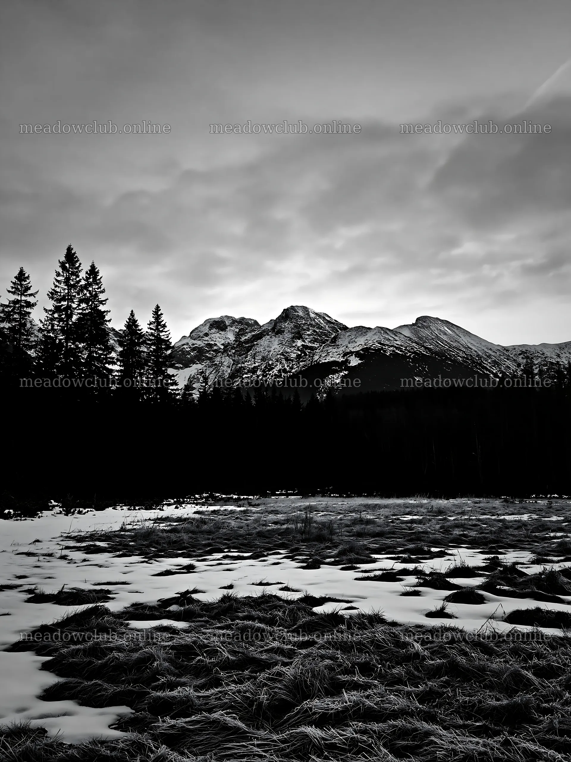 Spring snowmelt in Tatra Mountains meadow with dark clouds – meadow photos 6866x9174