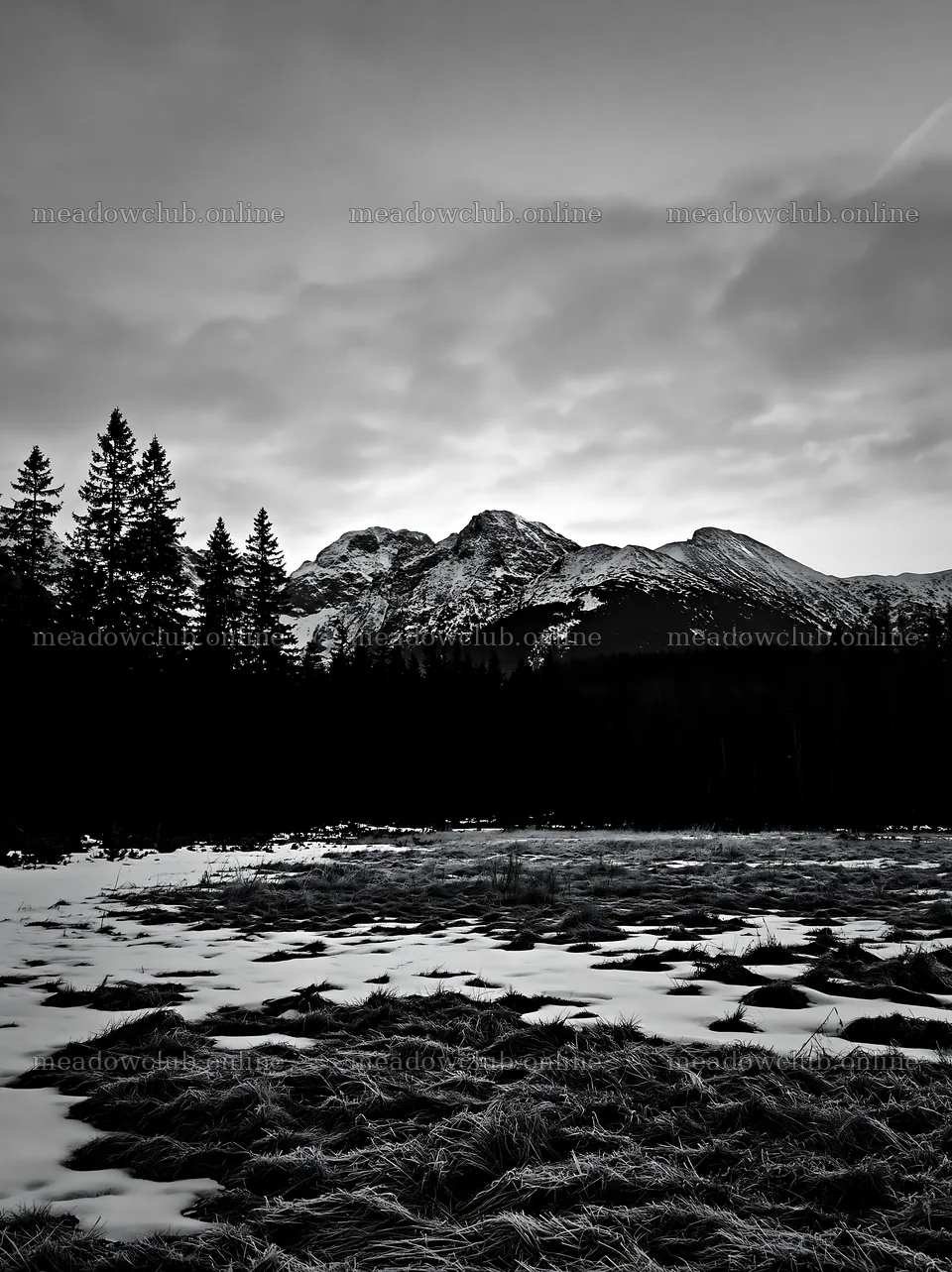 Spring snowmelt in Tatra Mountains meadow with dark clouds – meadow photos 6866x9174