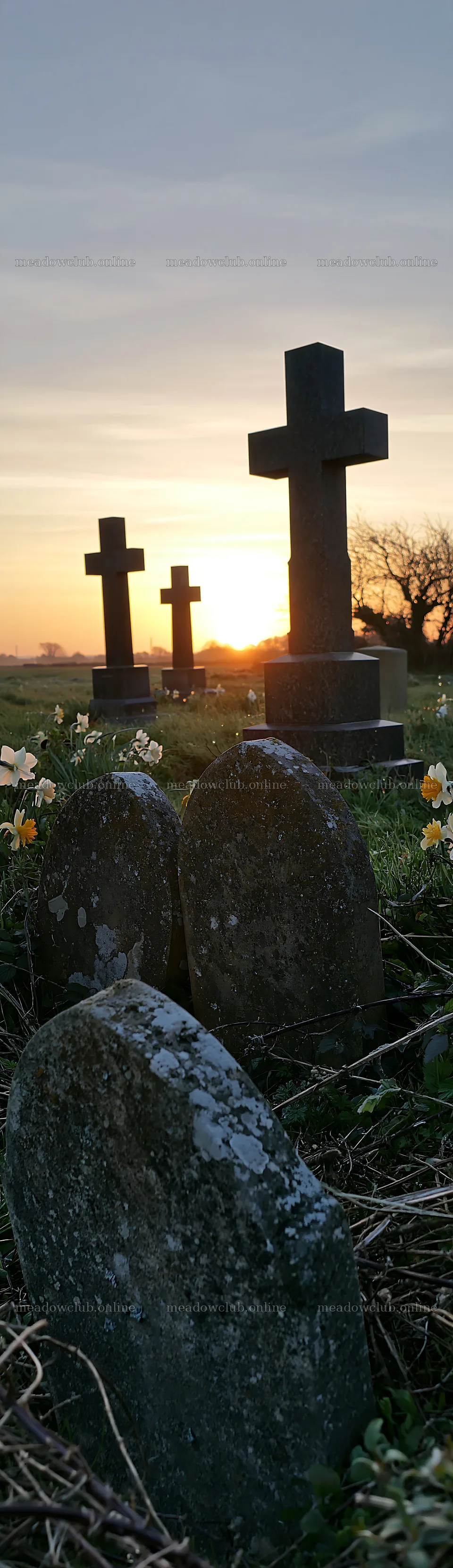 Three Christian crosses in Christmas meadow at sunrise – meadow photos 4268x14762