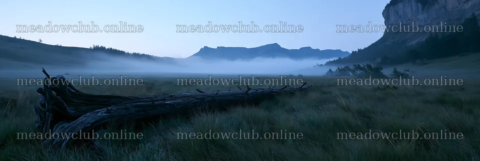 Weathered log in a misty meadow at dawn – meadow photos 13690x4602