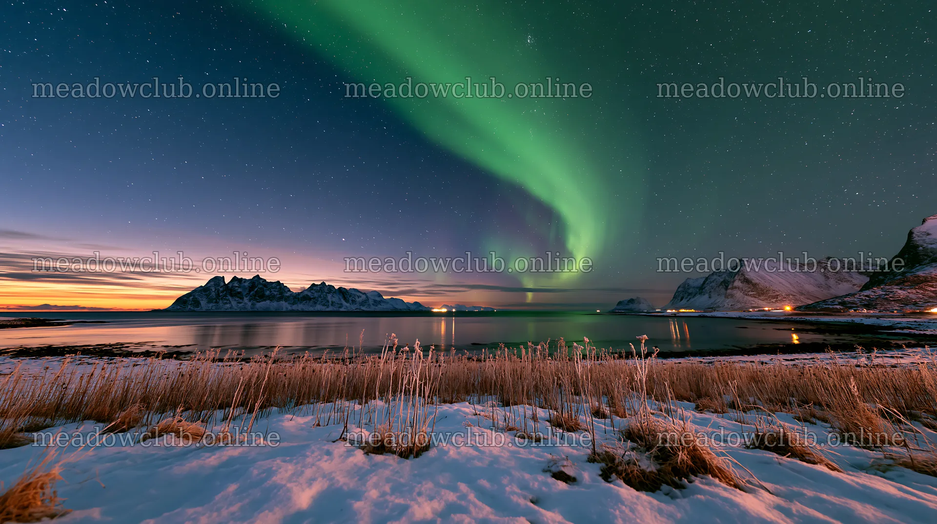 Lofoten coastal meadow with northern lights in winter – meadow photos 10608x5938
