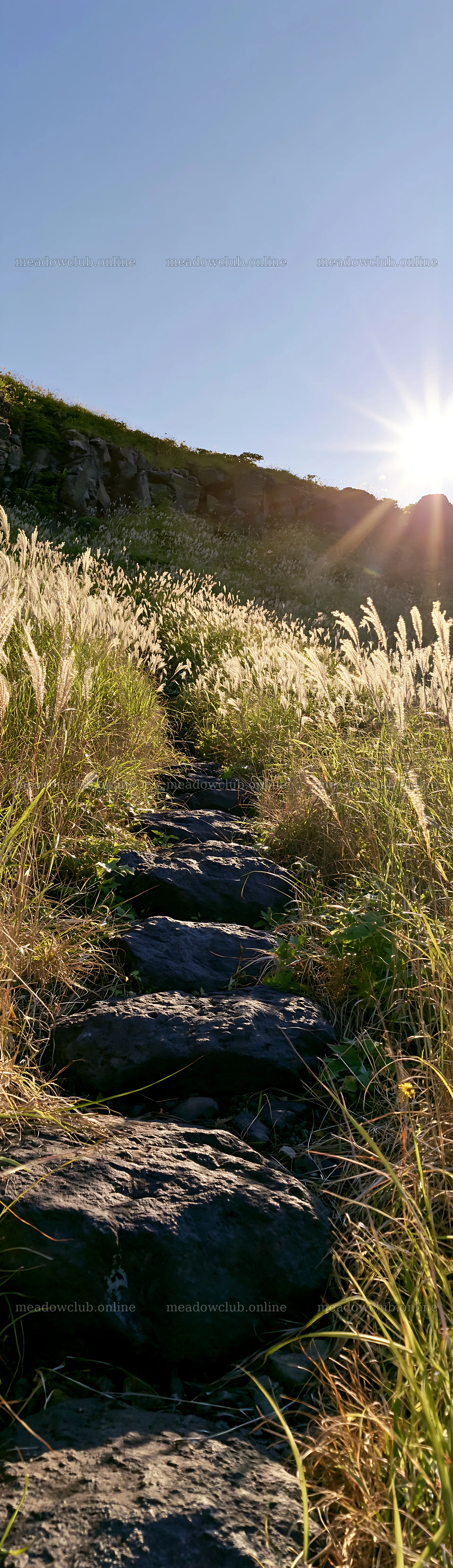 Rewilded Akita meadow with stones and grass at sunset – meadow photos 4268x14762