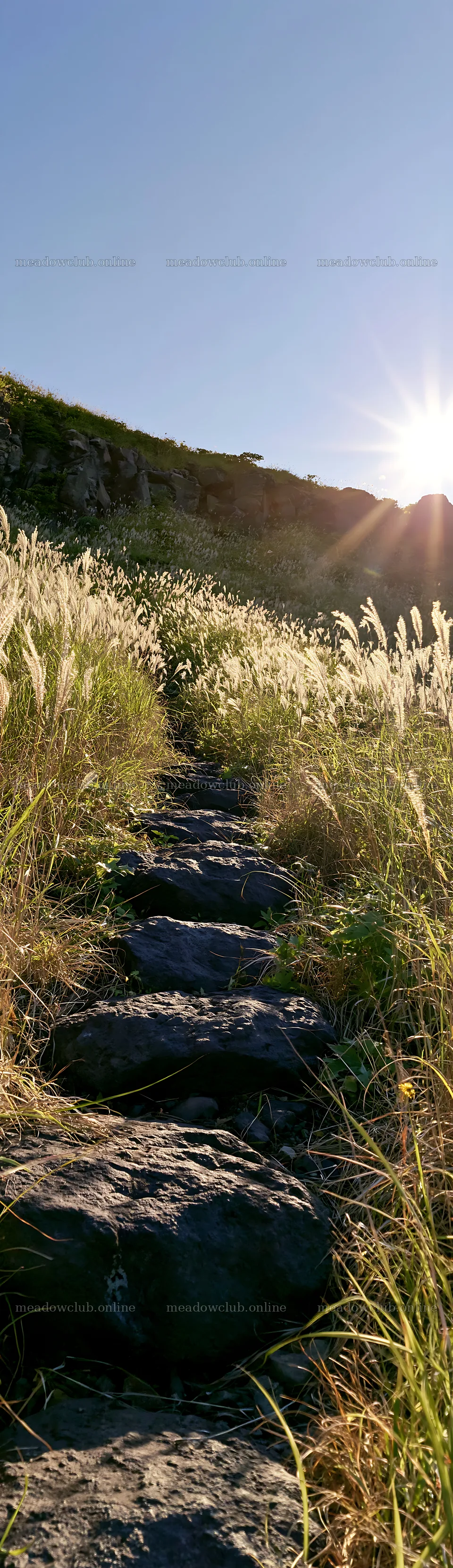 Rewilded Akita meadow with stones and grass at sunset – meadow photos 4268x14762
