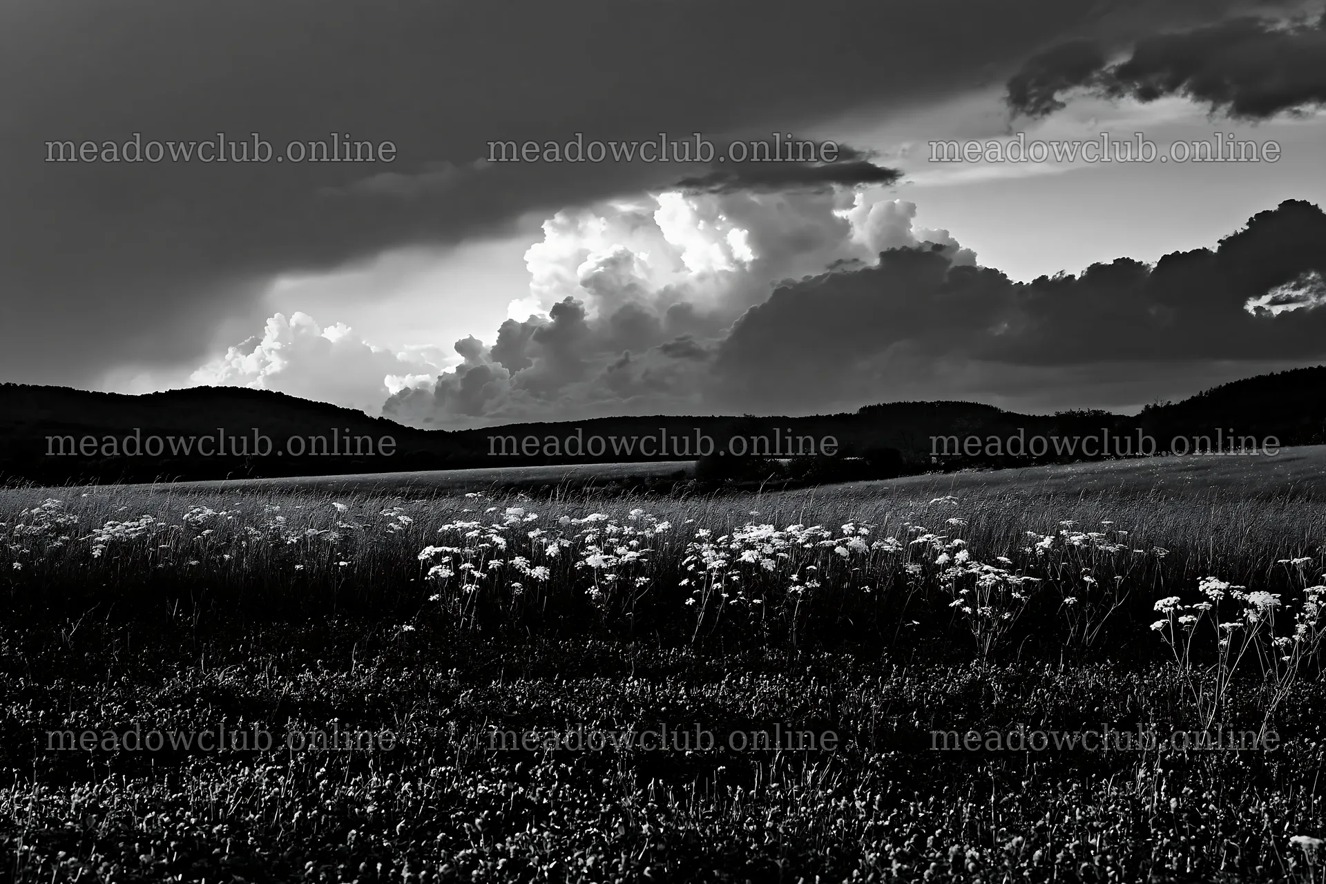 German foothill meadow under dramatic clouds at dusk – meadow photos 9722x6480
