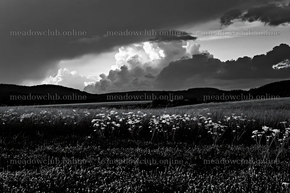 German foothill meadow under dramatic clouds at dusk – meadow photos 9722x6480