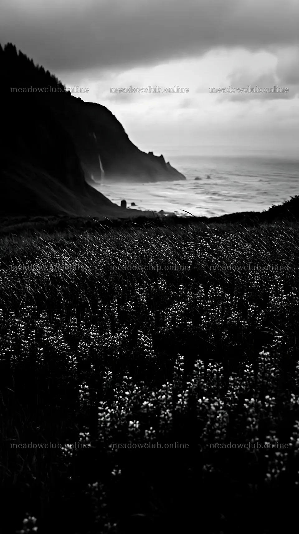 Flower meadow with distant cascade and ocean view – meadow photos 5938x10608