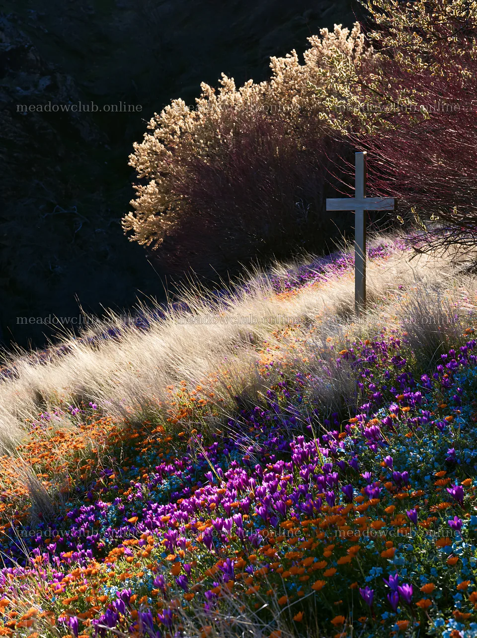 Christian cross in winter meadow with grasses and flowers – meadow photos 6866x9174