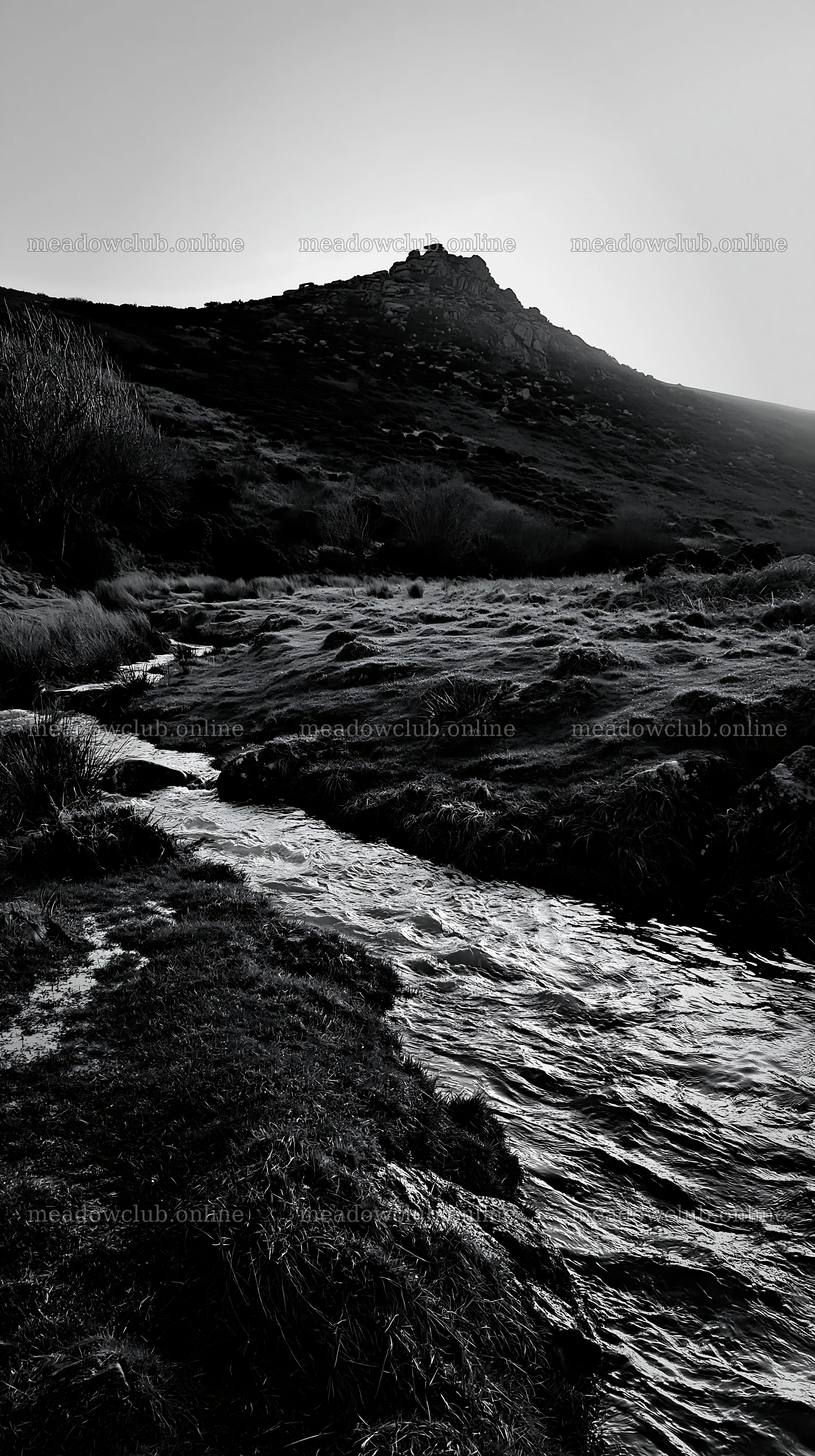 Meadow and stream under rocky crags at dusk – meadow photos 5938x10608