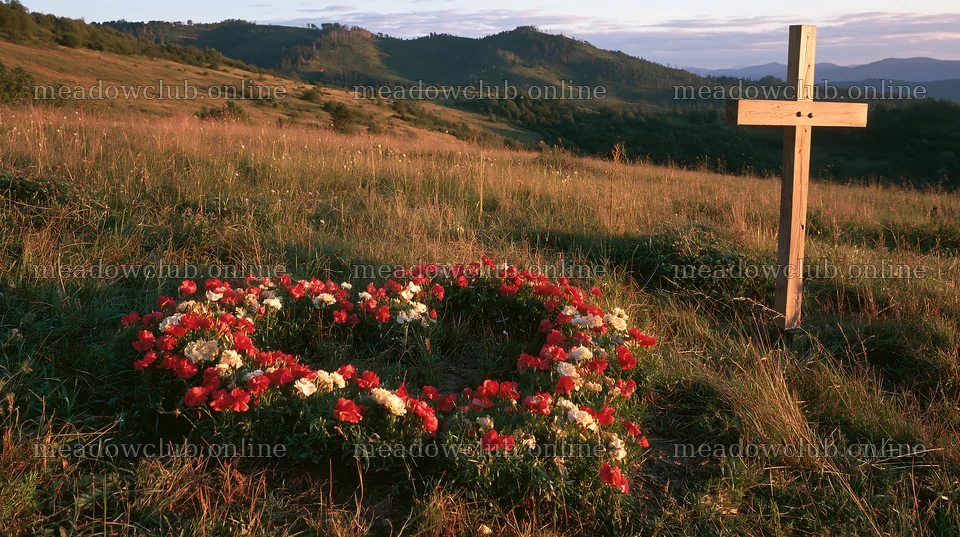 Christian cross in meadow with flowers for remembrance – meadow photos 10608x5938