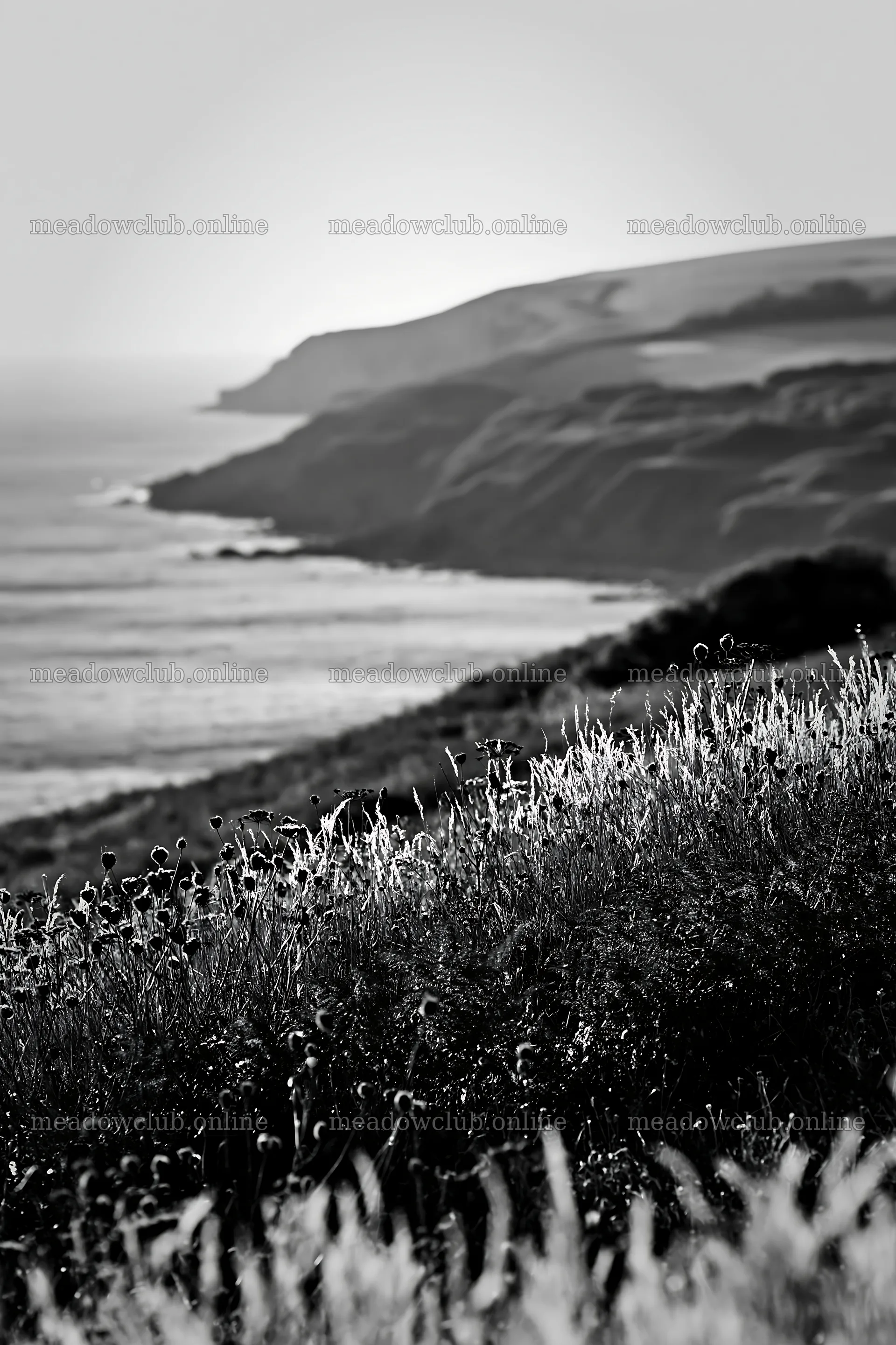 Clifftop meadow overlooking ocean and hills during daylight – meadow photos 6480x9722