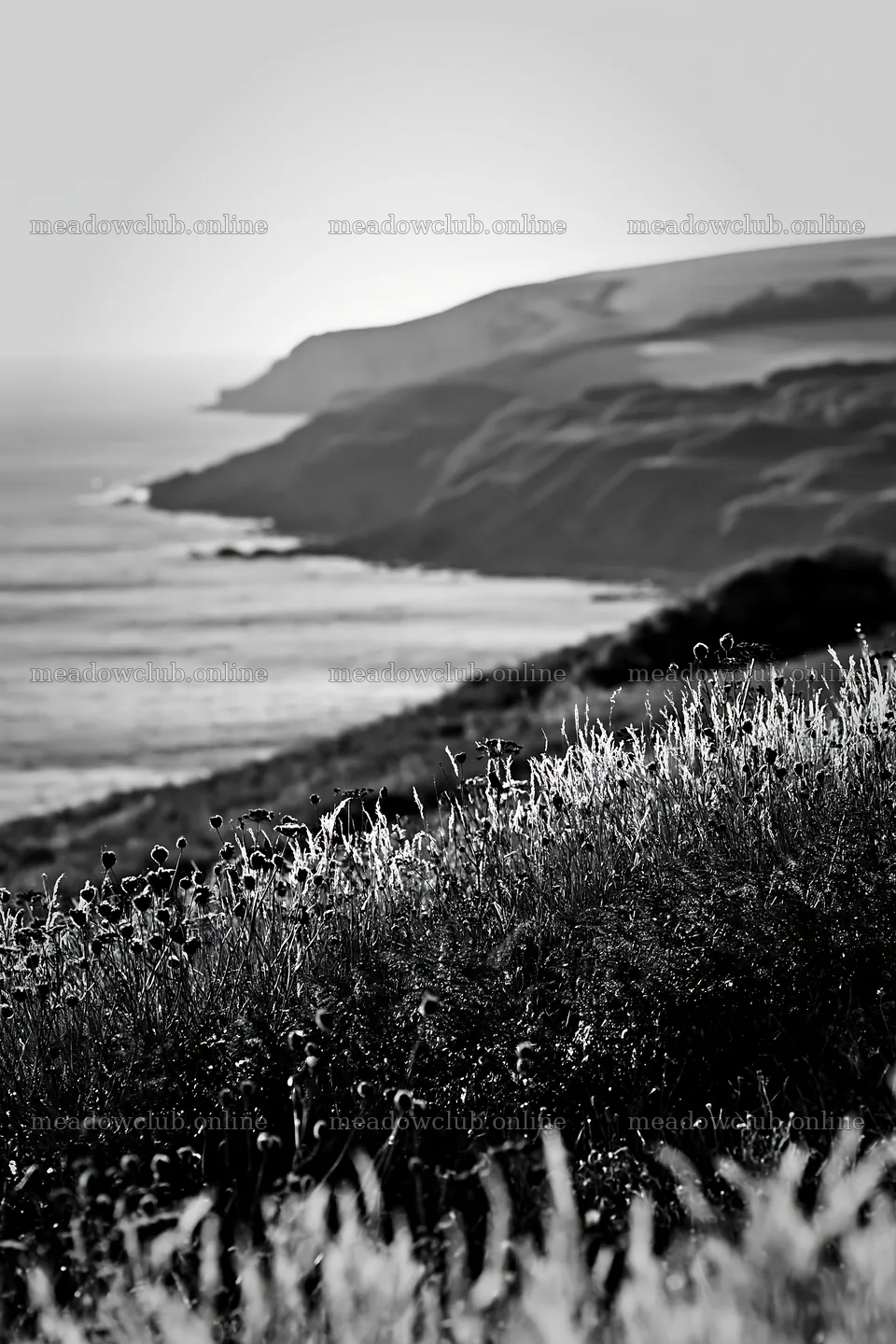Clifftop meadow overlooking ocean and hills during daylight – meadow photos 6480x9722