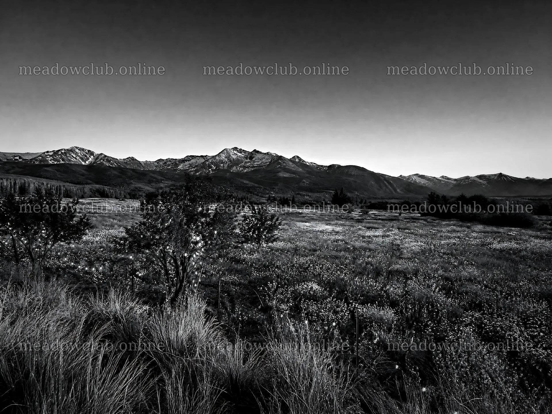 Warm Christmas lights across mountain valley meadow – meadow photos 9166x6874