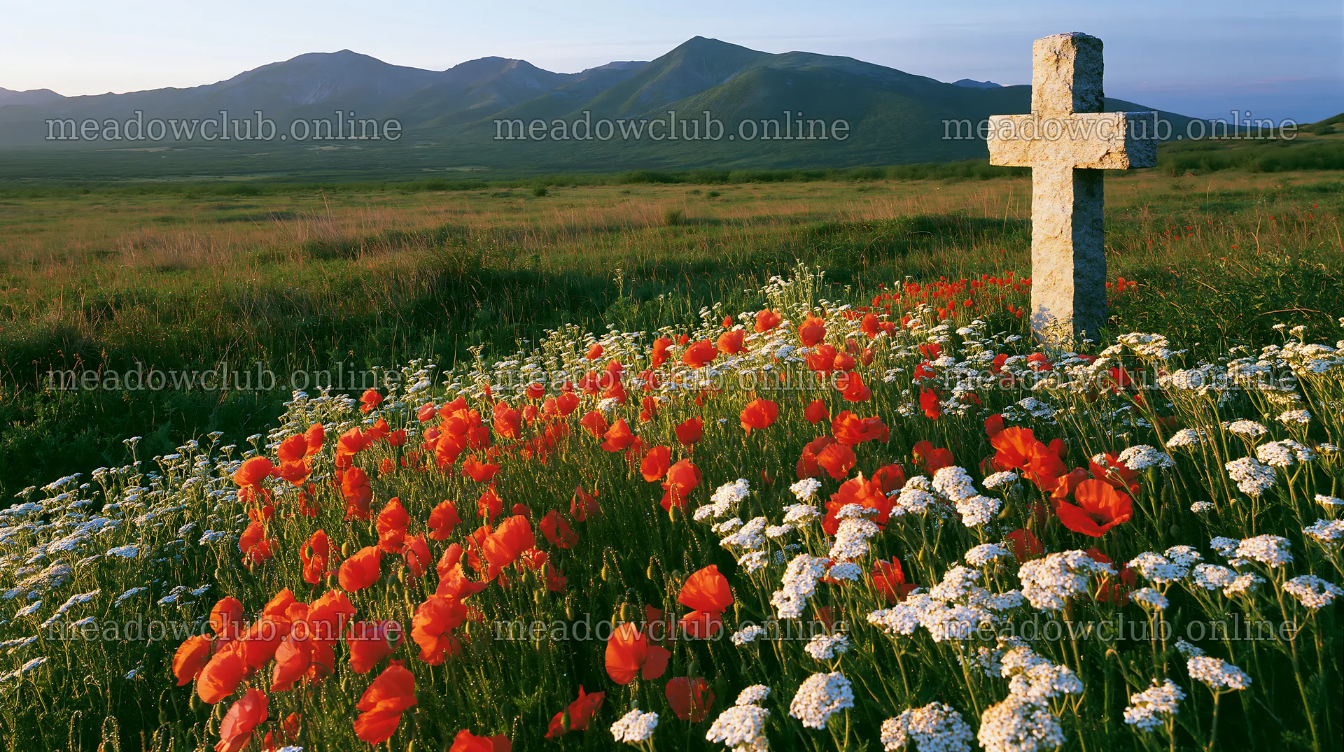 Christian cross in meadow with flowers – meadow photos 10608x5938
