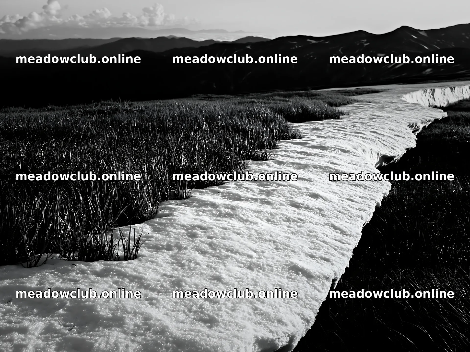 Akita snowmelt meadow with silver grasses in natural setting – meadow photos 9174x6866