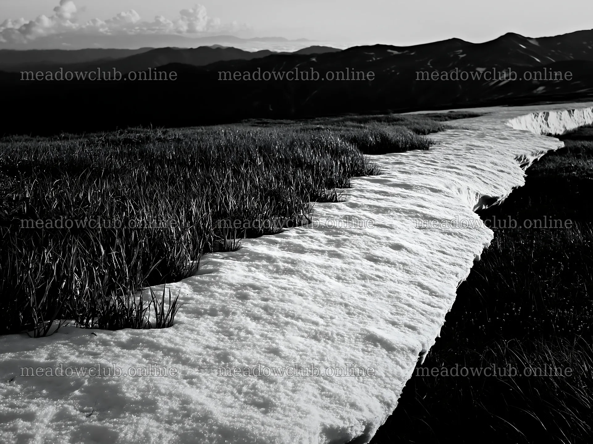 Akita snowmelt meadow with silver grasses in natural setting – meadow photos 9174x6866