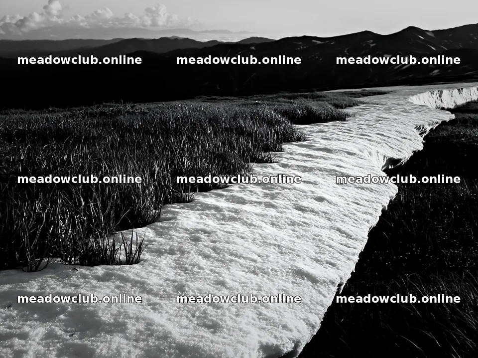 Akita snowmelt meadow with silver grasses in natural setting – meadow photos 9174x6866