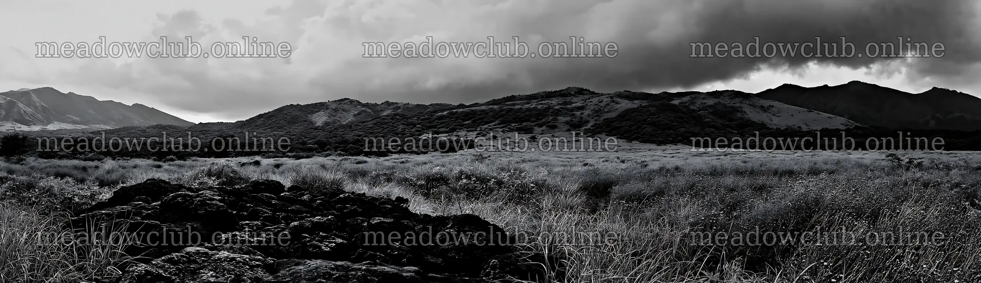 Kumamoto volcanic meadow with dark rocks in foreground – meadow photos 14762x4268